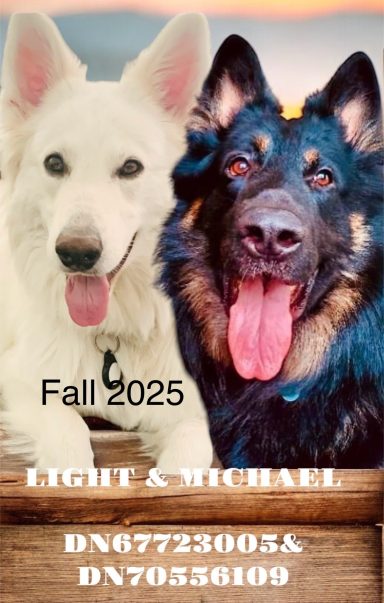 Michael & Light have previous litter